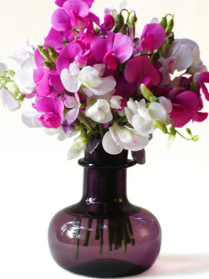 Birth flower for April is Sweet Pea