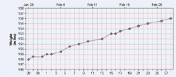 Pregnancy Weight Gain Chart